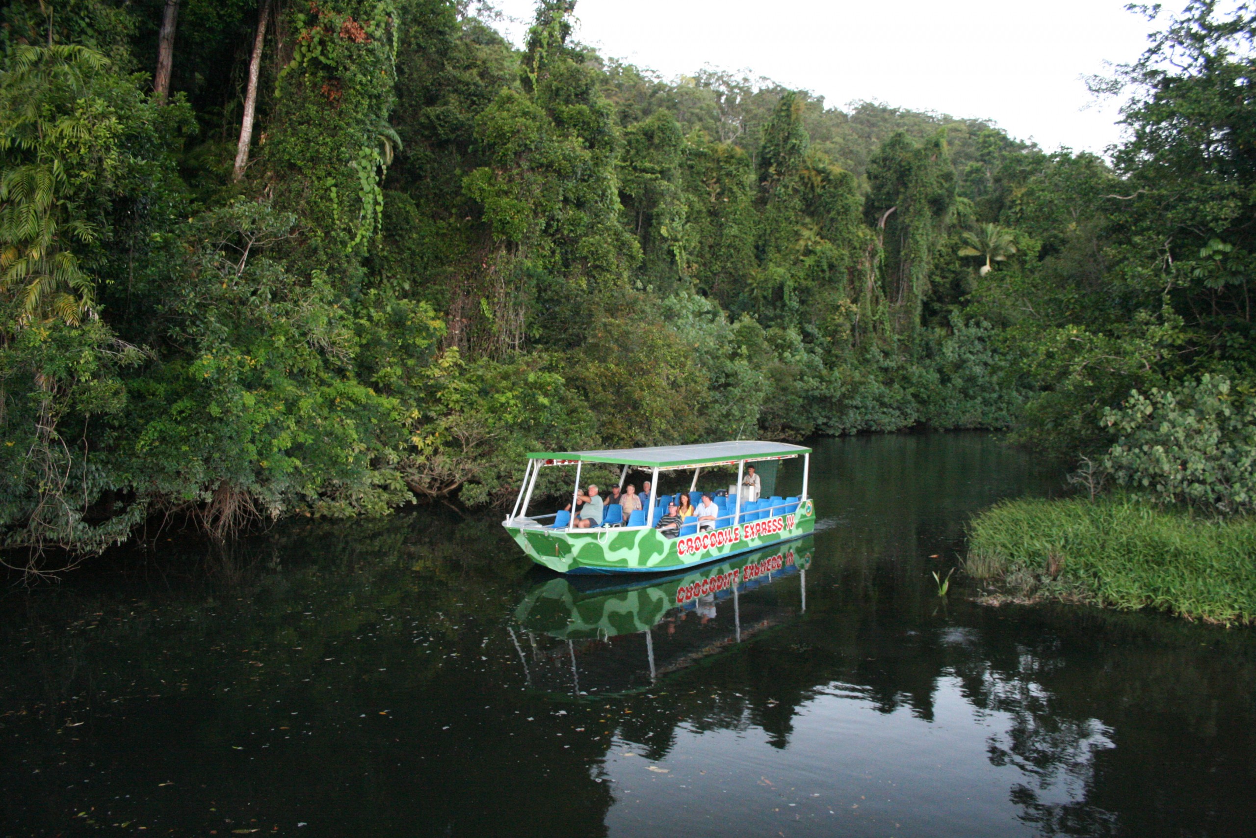 daintree river cruise experience