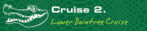Cruise 2 Button - Lower Daintree Cruise