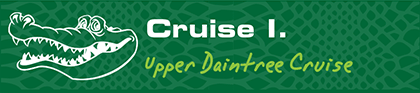 Upper Daintree Cruise button